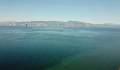 Deniz Suyu Sıcaklığı Artışı Egzotik Türlerin Çoğalmasına Yol Açıyor