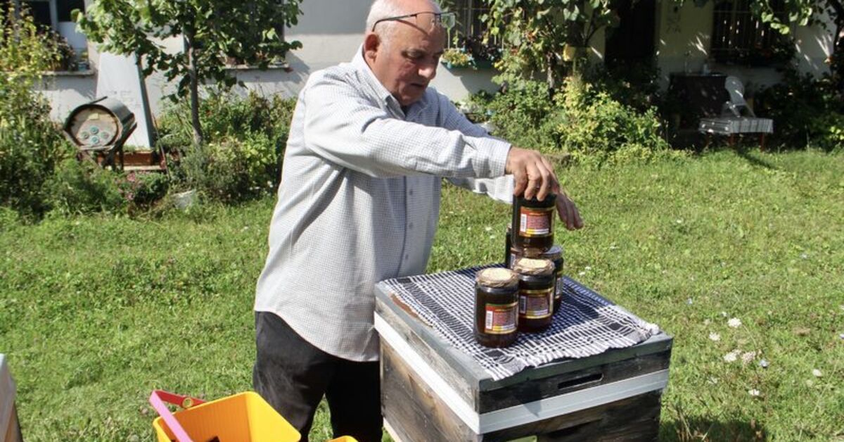 Sinop’un tescilli kestane balında “etiket ve analiz” uyarısı!