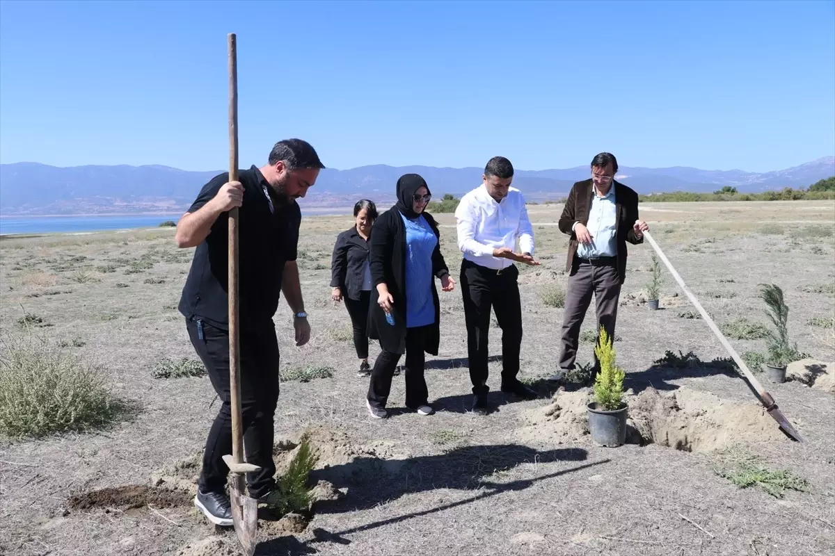 Burdur’da Gazeteciler Ağaç Dikti